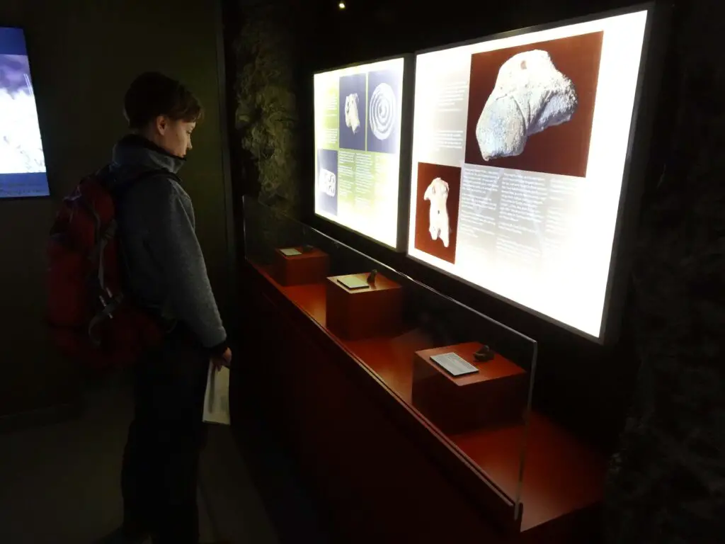 A woman looking at a museum display on ancient artefacts