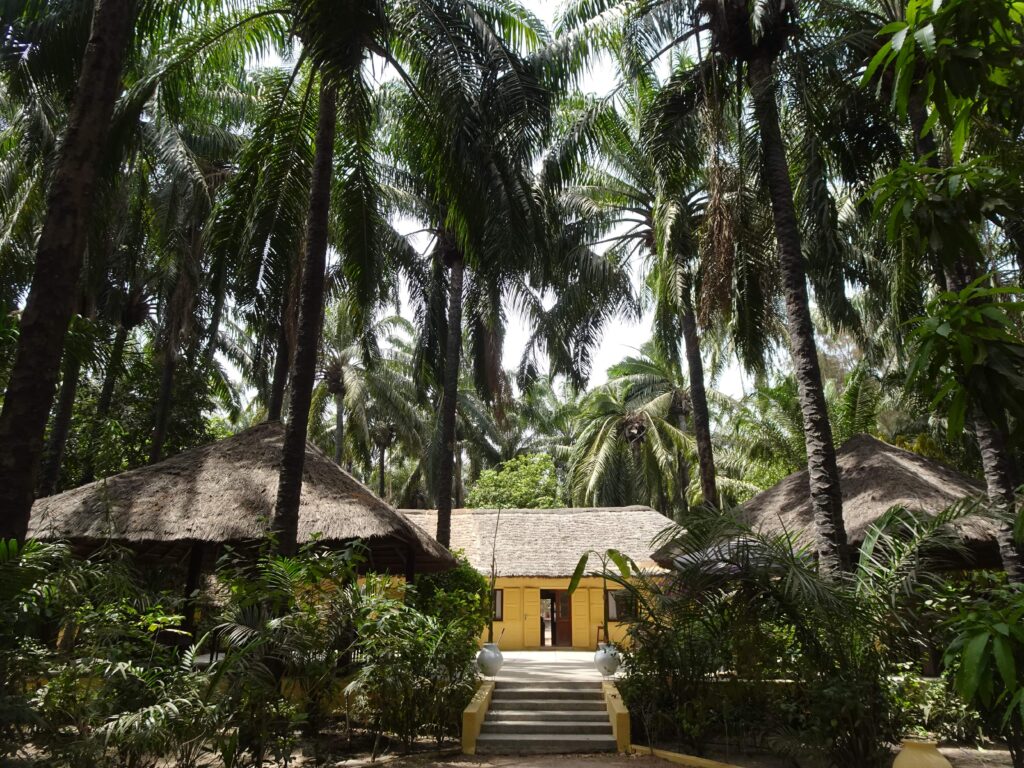 A low, yellow house in a grove of tall palm trees