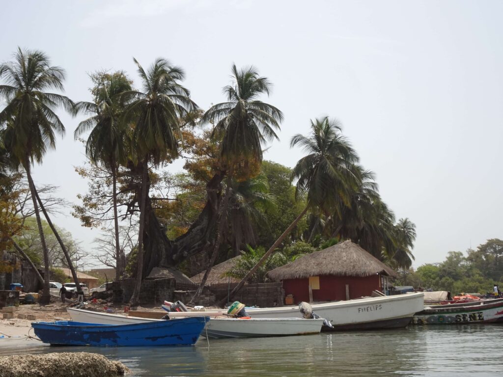 Dmall boats are docked in front of palm trees and a hut.