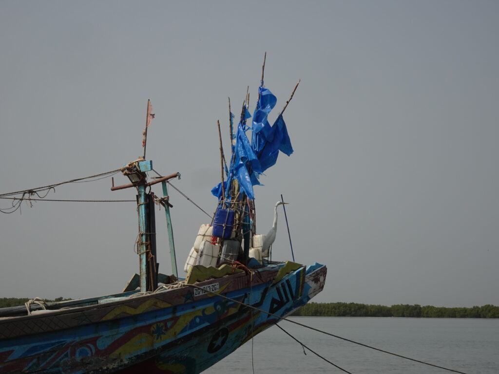 A heron sitting on the bow of a small wooden boat decorated with blue flags