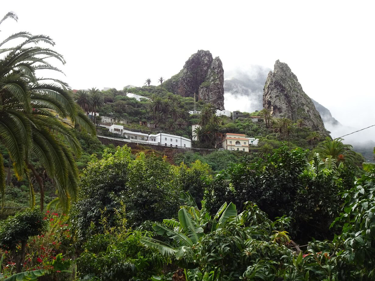 Two tall stone towers surrounded by tropical vegetation with clouds drifting overhead