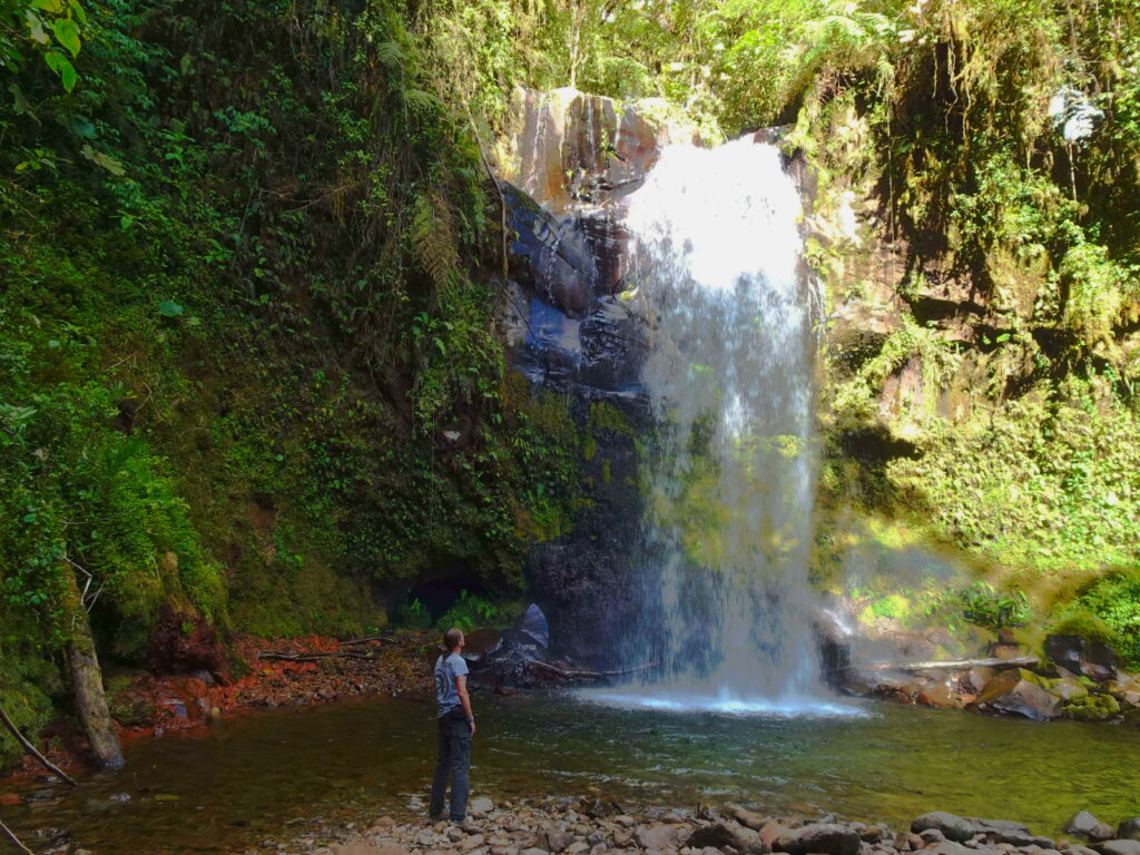 A man standing in front of a waterfall in the jungle
