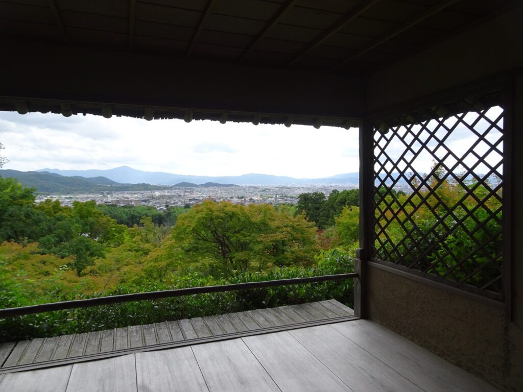 A broad river valley seen above the treetopsfrom a wooden pavillion