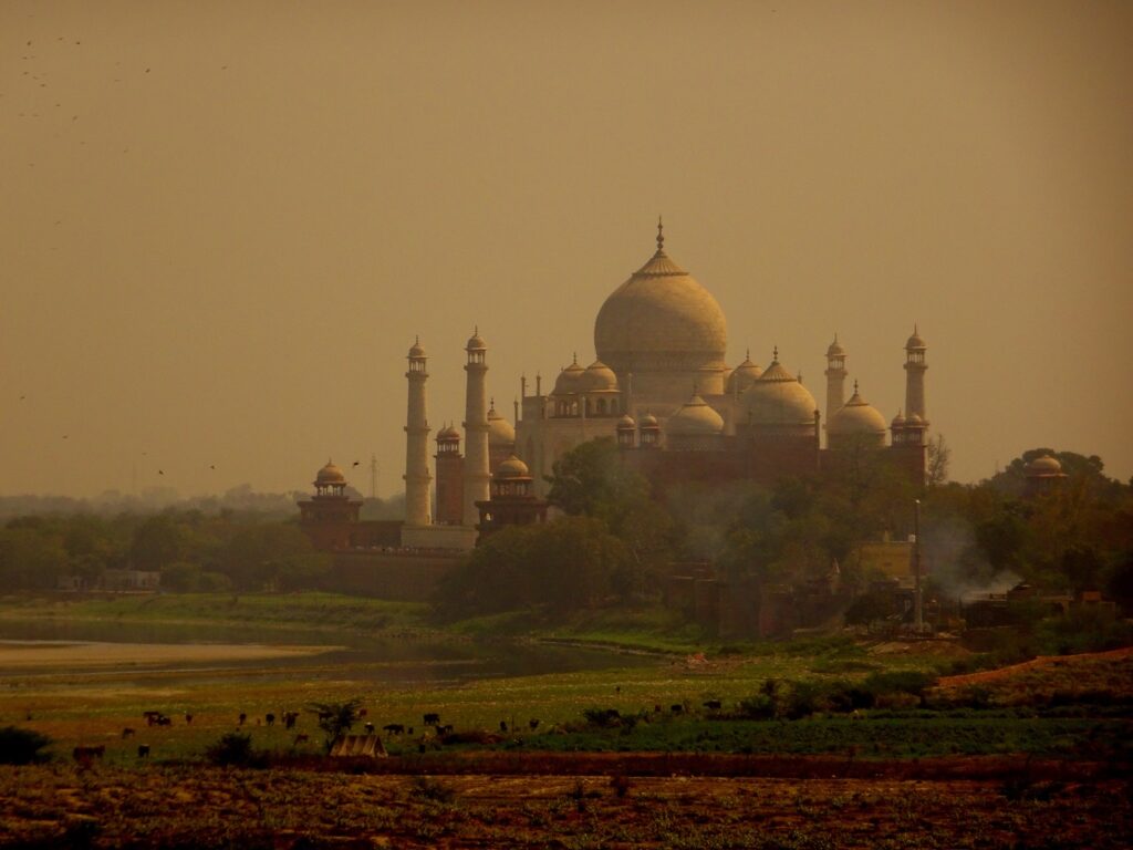 A view of the Taj Mahal over the Yamuna floodplains at dawn with a flock of birds flying in front of it
